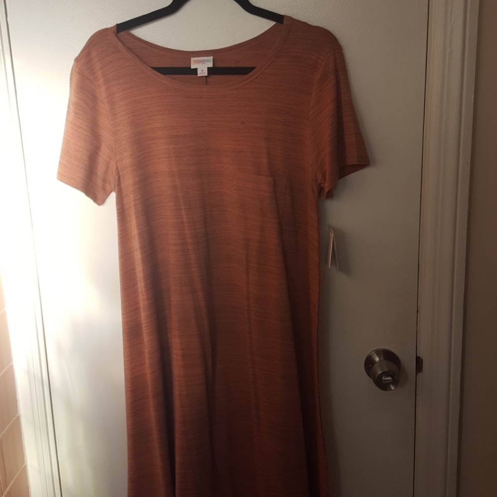 NWT Medium lularoe Carly dress